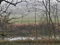 Le long du Doubs entre Boussieres et Abbans-Dessous Le long du Doubs entre Boussieres et Abbans-Dessous