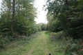 De la Lambertière à la Barboute par la Grande Foye De la Lambertière à la Barboute par la Grande Foye