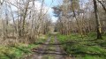 Bauzy, terre de bruyères Bauzy, terre de bruyères