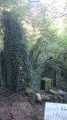 Le village d'Amange et sa forêt Le village d'Amange et sa forêt