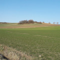 Autour de Solignat par les Tremoux Autour de Solignat par les Tremoux