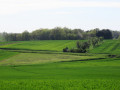 Une boucle dans la campagne environnante de Selles-sur-Nahon Une boucle dans la campagne environnante de Selles-sur-Nahon