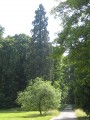 Sur les hauteurs de Westhoffen Sur les hauteurs de Westhoffen