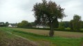 En Forêt de l'Isle-Adam autour de l'Abbaye du Val En Forêt de l'Isle-Adam autour de l'Abbaye du Val