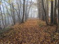 La Butte de Tous Vents, les Bois du Marais et Mal Acquis La Butte de Tous Vents, les Bois du Marais et Mal Acquis