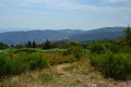 Tourbière du plateau de la Verrerie Tourbière du plateau de la Verrerie