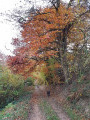 Circuit Ramille à Arfeuilles Circuit Ramille à Arfeuilles