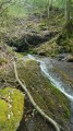 La résurgence d'Aygo Blanco en forêt de Très Crouts La résurgence d'Aygo Blanco en forêt de Très Crouts