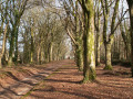 Circuit par la Chapelle Saint-Sébastien à Tréméoc Circuit par la Chapelle Saint-Sébastien à Tréméoc