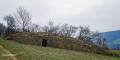 Balade dans les alentours de Chasselay Balade dans les alentours de Chasselay