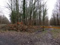 Le Poinçonnet, sa forêt domaniale et ses environs Le Poinçonnet, sa forêt domaniale et ses environs