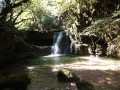 Balade en sous-bois jurassien Balade en sous-bois jurassien