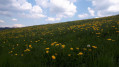 Boucle au départ de Joux Boucle au départ de Joux