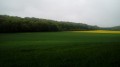 Boucle de La Forêt-le-Roi Boucle de La Forêt-le-Roi