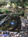 La randonnée des lavoirs à Plozévet La randonnée des lavoirs à Plozévet
