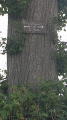 Lucheux et sa forêt Lucheux et sa forêt