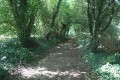 Des sources aux Loups Des sources aux Loups