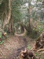 Par les chemins creux autour de Locronan Par les chemins creux autour de Locronan