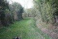 Sur le chemin des Romains près de Brioux-sur-Boutonne Sur le chemin des Romains près de Brioux-sur-Boutonne