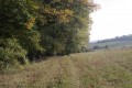 Petit tour dans le Niederwald Petit tour dans le Niederwald