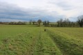 Dans la plaine de Gournay Dans la plaine de Gournay