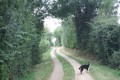 Entre Belle et Béronne autour de Périgné Entre Belle et Béronne autour de Périgné