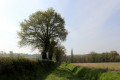 Balade autour de Fougerolles Balade autour de Fougerolles