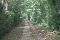 Les chemins des Simbliaires, Saulnier et du Fief Louis autour de Juillé Les chemins des Simbliaires, Saulnier et du Fief Louis autour de Juillé