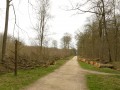 Boucle de Dourdan en passant par l'Abbaye de l'Ouye Boucle de Dourdan en passant par l'Abbaye de l'Ouye