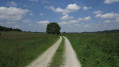 Chemin de randonnée Chemin de randonnée