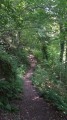 À la découverte du Pays de Dabo : les maisons troglodytes et le fort romain À la découverte du Pays de Dabo : les maisons troglodytes et le fort romain