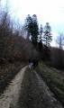 Du Fort au ruisseau Du Fort au ruisseau