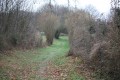 Dans les bois de Fréteveau, de la Garde et du Grand Lac Dans les bois de Fréteveau, de la Garde et du Grand Lac