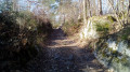 De La Ferté-Alais à Boutigny par les bois Charron et de Miséry De La Ferté-Alais à Boutigny par les bois Charron et de Miséry