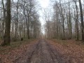 Les bois de Crisolles Les bois de Crisolles