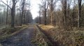 En Forêt de Sénart En Forêt de Sénart