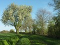 Entre Brenne et vallée de la Creuse à Nuret-le-Ferron Entre Brenne et vallée de la Creuse à Nuret-le-Ferron