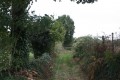 Les Bois de Celles-sur-Belle Les Bois de Celles-sur-Belle