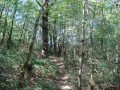 Promenade autour de l'Aussonnelle Promenade autour de l'Aussonnelle