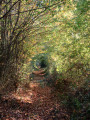 Circuit découverte de La Berthenoux Circuit découverte de La Berthenoux