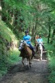 Autour de Courpière à cheval Autour de Courpière à cheval