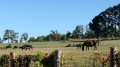 Le Domaine de Chignac au départ d'Arnac Le Domaine de Chignac au départ d'Arnac