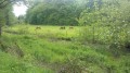 Forêts et canal à Danjoutin Forêts et canal à Danjoutin