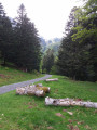 Boucle en forêt de Barousse entre hêtres et pins Boucle en forêt de Barousse entre hêtres et pins