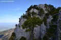 Col et crêtes de Pertuis Col et crêtes de Pertuis