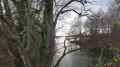 D'Orléans à Meung-sur-Loire par les berges de la Loire et du Loiret D'Orléans à Meung-sur-Loire par les berges de la Loire et du Loiret