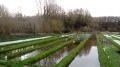 Les cressonnières de la vallée de la Juine Les cressonnières de la vallée de la Juine
