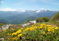 Crête de Cournudère ou Cornudère ou Cap des Teches Crête de Cournudère ou Cornudère ou Cap des Teches
