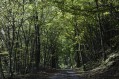 Boucle de Grézieu-la-Varenne au Col de la Luère Boucle de Grézieu-la-Varenne au Col de la Luère