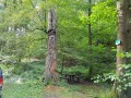 La Forêt de Phalsbourg et le Château de Lutzelbourg La Forêt de Phalsbourg et le Château de Lutzelbourg